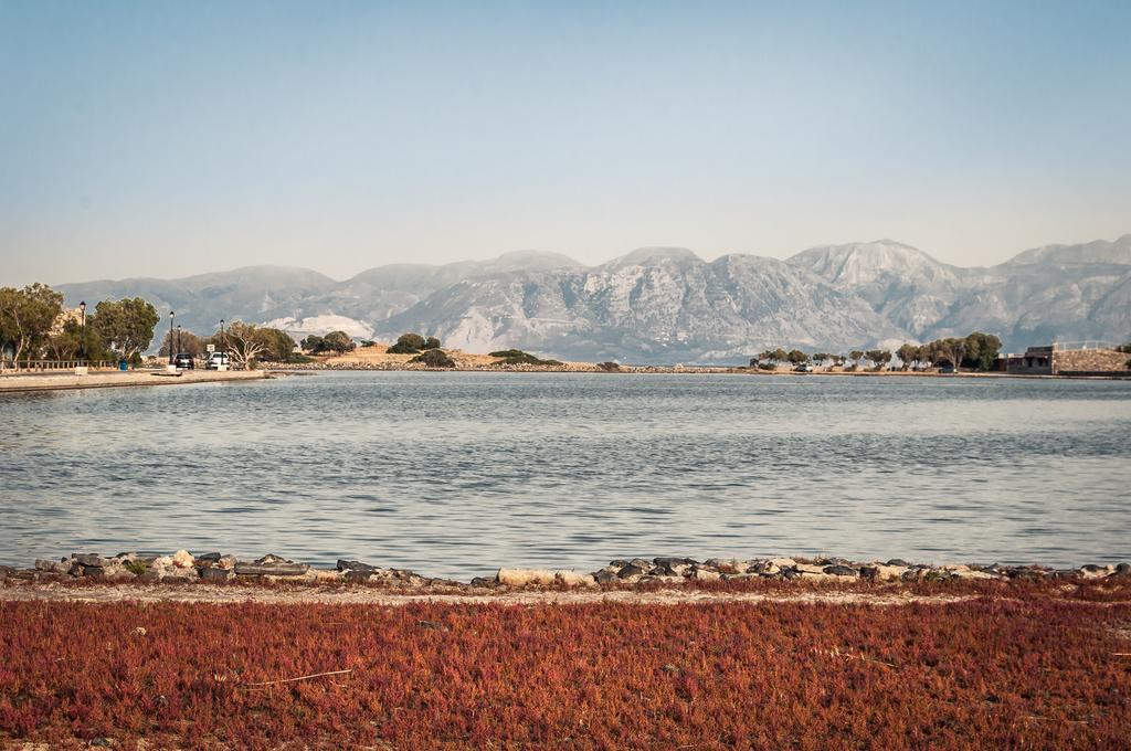 Elounda Olive Garden Apts & Studios Bagian luar foto
