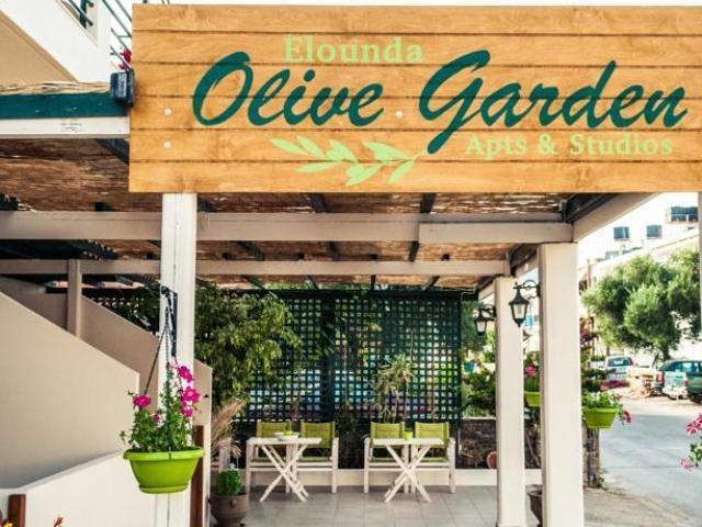Elounda Olive Garden Apts & Studios Bagian luar foto