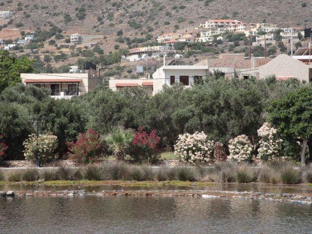 Elounda Olive Garden Apts & Studios Bagian luar foto