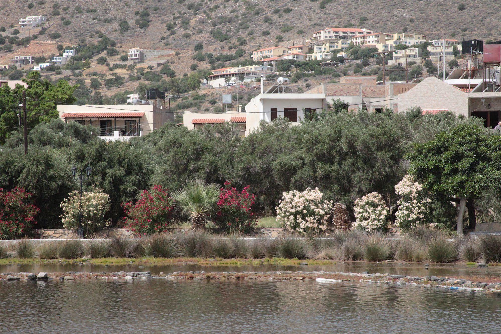 Elounda Olive Garden Apts & Studios Bagian luar foto