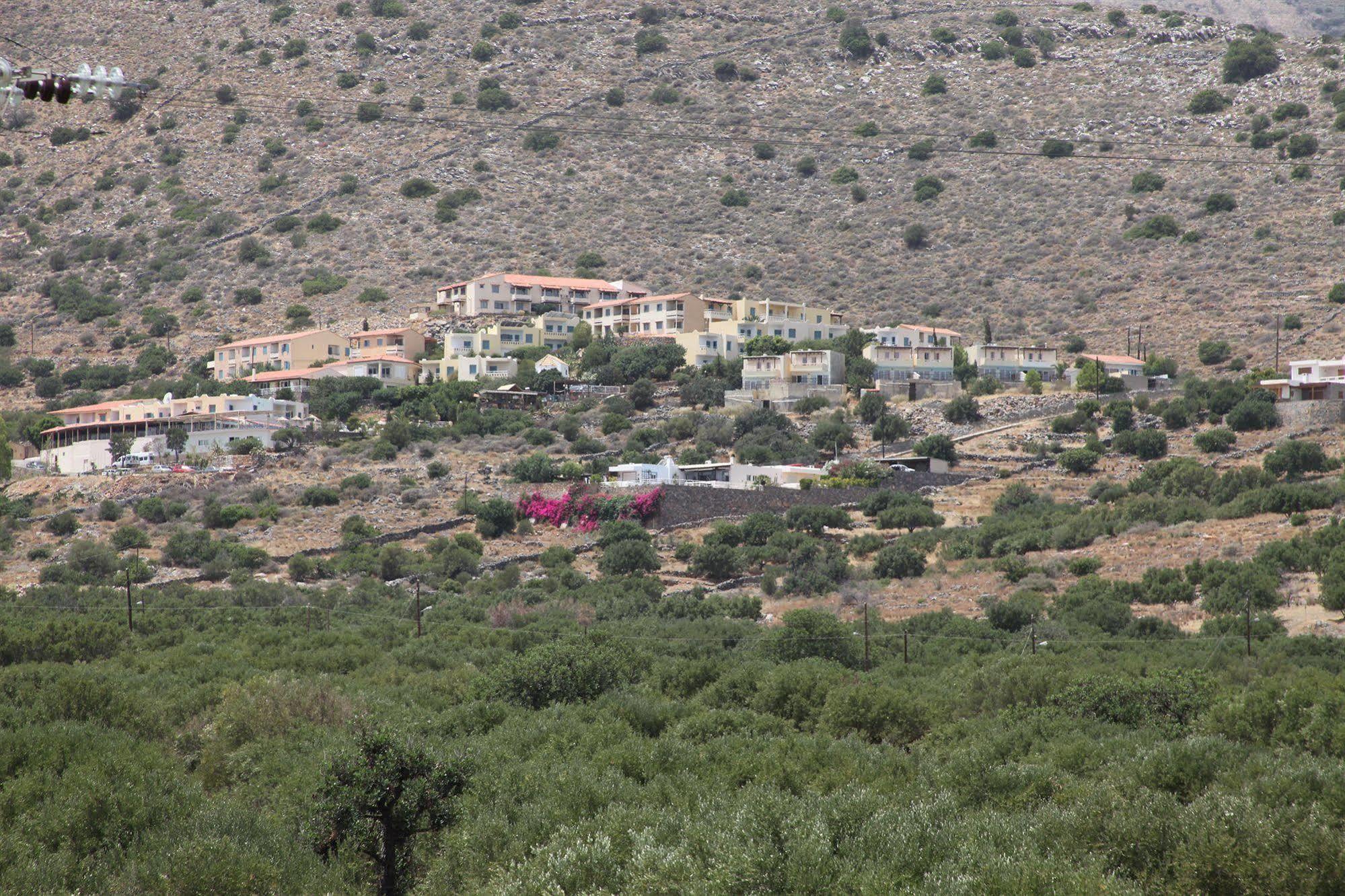 Elounda Olive Garden Apts & Studios Bagian luar foto